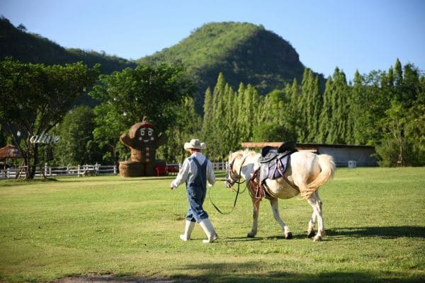 Prevención de problemas comunes de salud en los caballos